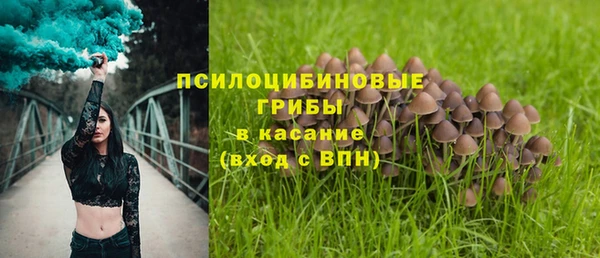 каннабис Нефтекумск