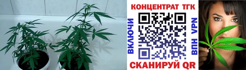 ТГК вейп с тгк Петрозаводск