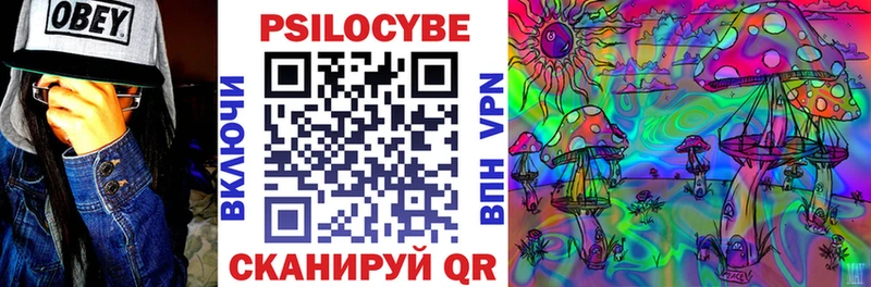 Галлюциногенные грибы Cubensis  KRAKEN онион  Петрозаводск  купить  сайты 